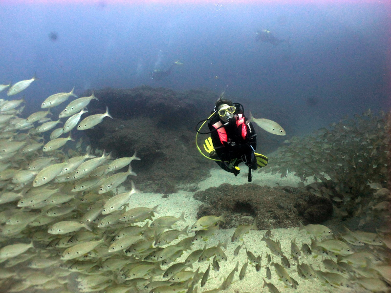 Davy Jones Diving 