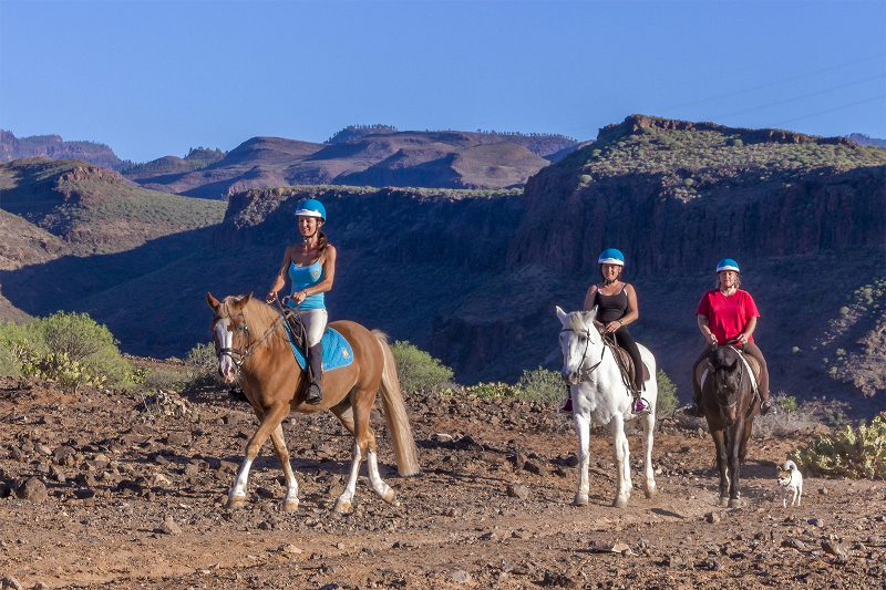 El Salobre Horse Riding