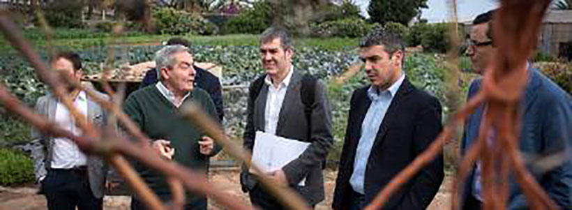 El Gobierno de Canarias quiere facilitar el inicio de negocios en el sector primario