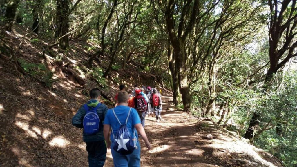 Los jóvenes se convierten en promotores de la historia y la naturaleza